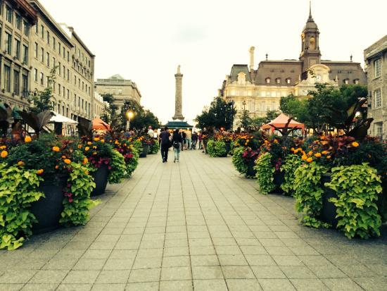 Place Jacques-Cartier